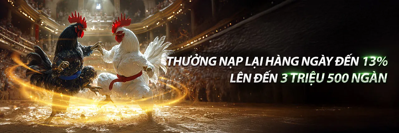 Đá gà 88 thomo trực tiếp hôm nay - Sàn đấu gà chọi Thomo Campuchia